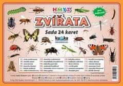 Kupka Petr a kolektiv: Zvířata hmyz - Sada 24 karet