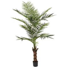 Europalms Kentia palma, výška 240cm