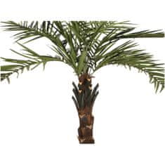 Europalms Kentia palma deluxe, 300cm