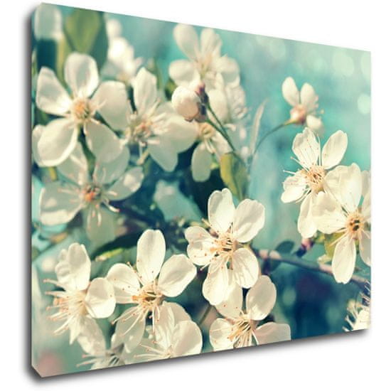 Impresi Obraz Třešňový květ modré pozadí