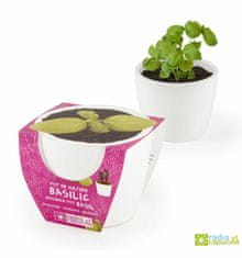 Radis et Capucine Mini zahrádka - mini květináč ceramic s bazalkou
