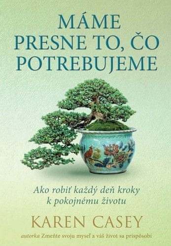 Karen Casey: Máme presne to, čo potrebujeme - Ako robiť každý deň kroky k pokojnému životu