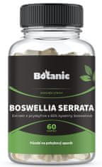 Boswellia 65% kyseliny boswelové 60 kapslí