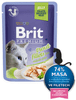 Brit Premium Cat Delicate Fillets in Jelly with Trout 24 x 85 g