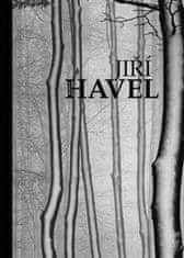 Jiří Havel;Eva Hrubá;Eva Hrubá;Jan Pohribný: The Best of Jiří Havel