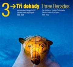 Vladimír Birgus: Tři dekády - Three Decades