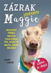 Kasey Carlin: Zázrak jménem Maggie - Skutečný příběh malého pouličního psa Maggie, který se naučil znovu milovat
