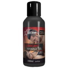 SEXY STAR LUBRICANT & MASSAGE LUBRIKAČNÍ GEL 100ML