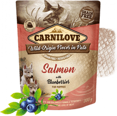 Carnilove Salmon with Blueberries for Puppies 12x300 g