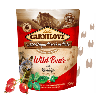 Carnilove Wild Boar with Rosehips 12x300 g