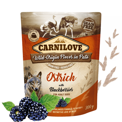 Carnilove Ostrich with Blackberries 12x300 g