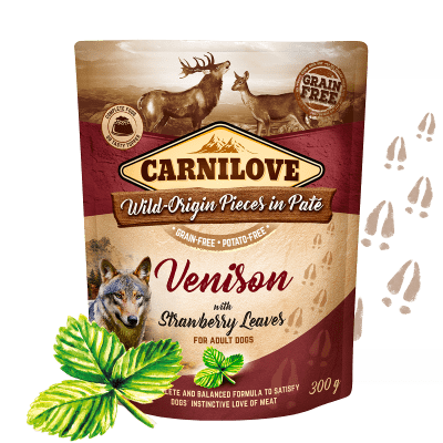 Carnilove Venison with Strawberry Leaves 12x300 g