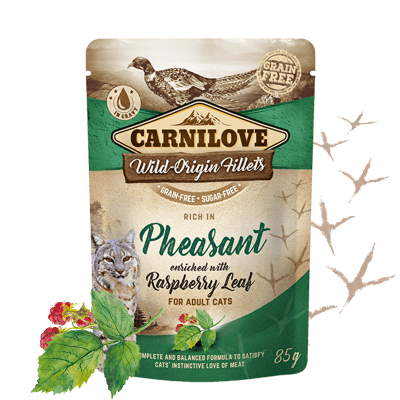 Carnilove Rich in Pheasant Enriched with Raspberry Leaves 24x85 g