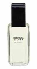 Antonio Puig 100ml quorum silver, toaletní voda