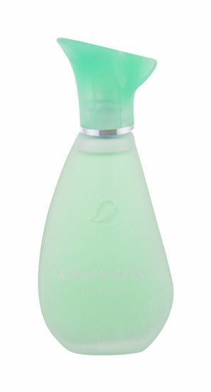 Chanson 100ml deau original, toaletní voda