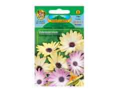 NOHEL GARDEN Osteospermum, směs