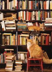 Cobble Hill  Puzzle Kočky v knihkupectví Gotham 500 dílků