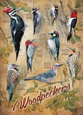 Cobble Hill  Puzzle Pozoruhodní datlovití ptáci 500 dílků
