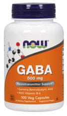 NOW Foods GABA (kyselina gama-aminomáselná) 500 mg + 2mg Vitamín B6, 100 kapslí