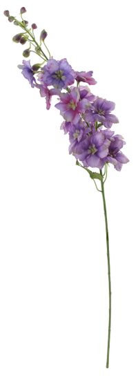 Shishi Delphinium fialový květ (Stračka), 95 cm