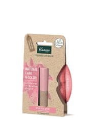 Kneipp Barevný balzám na rty Natural Rosé (Colored Lip Balm) 3,5 g