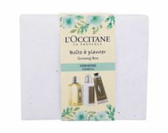 Kraftika 70ml loccitane verveine growing box, sprchový gel