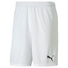 Puma teamGOAL 23 knit Shorts - M, 704379-004|M