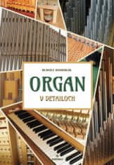 Rudolf Hamerlik: Organ v detailoch