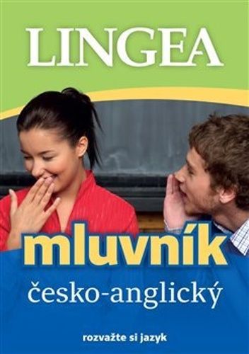 Kolektiv autorů: Česko-anglický mluvník