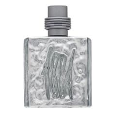 Cerruti 1881 Silver toaletní voda pro muže 100 ml