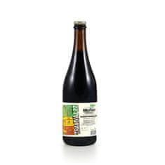 Muflon Tramvaj - Russian Imperial Stout 22° - 0,75l, 6ks