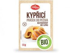 Amylon KYPŘICÍ PRÁŠEK DO PEČIVA BIO BEZ LEPKU AMYLON 12 g