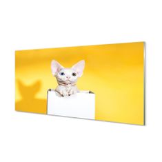 tulup.cz akrylový obraz sedící kočka 100x50 cm 2 Přívěsky