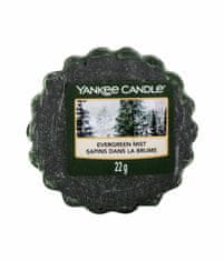 Yankee Candle 22g evergreen mist, vonný vosk