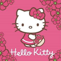 Detexpol Magický ručníček Hello Kitty 30/30