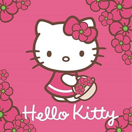 Detexpol Magický ručníček Hello Kitty 30/30