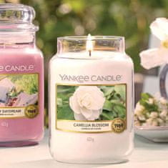 Yankee Candle vonná svíčka Camellia Blossom (Kamélie) 623g