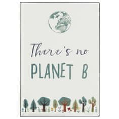 IB Laursen plechová cedulka There's no Planet B