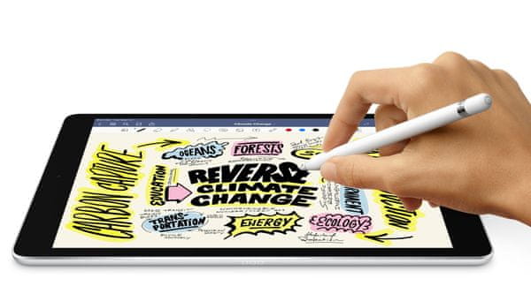 iPad 2021 Cellular  Apple Pencil, stylus, iPadOS15