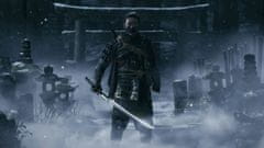 PlayStation Studios Ghost of Tsushima - Director's Cut (PS4)