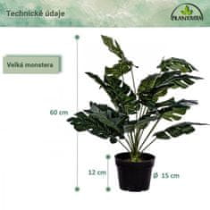 Greatstore PLANTASIA Umělá rostlina monstera, 60 cm