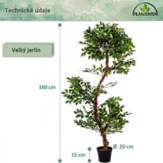 shumee PLANTASIA Umělý strom jerlín, 160 cm