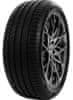 205/50R17 93W DELINTE DS2XL