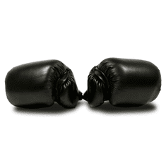 Master boxovací rukavice TG14
