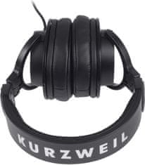 Kurzweil HDM1