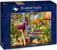 Blue Bird Puzzle Tygři z obrazu