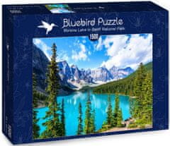 Blue Bird Puzzle Jezero Moraine