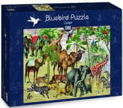 Blue Bird Puzzle Zvířata na poušti