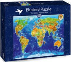 Blue Bird Puzzle Mapa světa