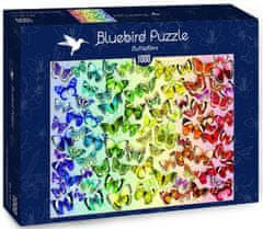 Blue Bird Puzzle Motýlci